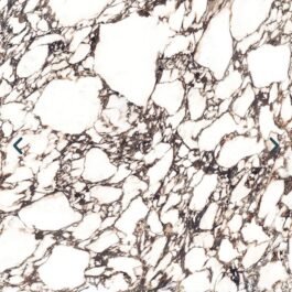CALACATTA VIOLA 126X63 NATURE